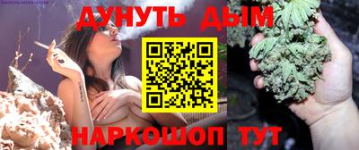 jwh Кинель