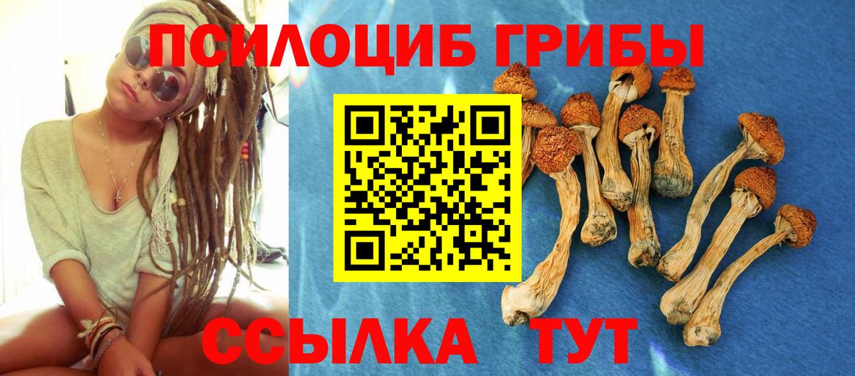 Галлюциногенные грибы MAGIC MUSHROOMS  Вход с VPN  Дзержинск 